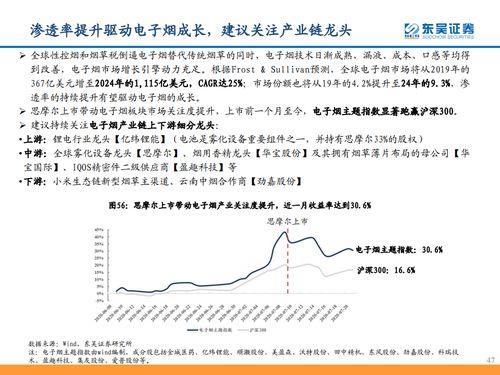 東吳證券 從思摩爾看電子煙黃金時代——計算機批發(fā)視角