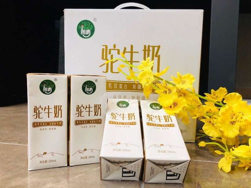 新疆朗青乳品 生物科技賦能民族乳業的創新之路